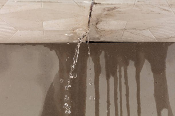 Professional Commercial Water Damage Restoration technician working in Minburn, IA
